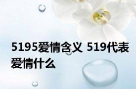 5195爱情含义 519代表爱情什么