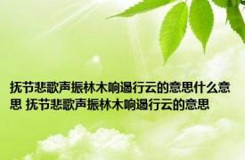 抚节悲歌声振林木响遏行云的意思什么意思 抚节悲歌声振林木响遏行云的意思