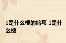 1是什么梗的缩写 1是什么梗