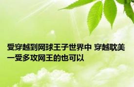 受穿越到网球王子世界中 穿越耽美一受多攻网王的也可以