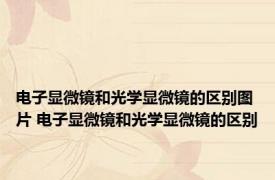 电子显微镜和光学显微镜的区别图片 电子显微镜和光学显微镜的区别