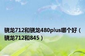 骁龙712和骁龙480plus哪个好（骁龙712和845）