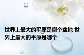 世界上最大的平原是哪个盆地 世界上最大的平原是哪个