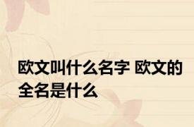 欧文叫什么名字 欧文的全名是什么