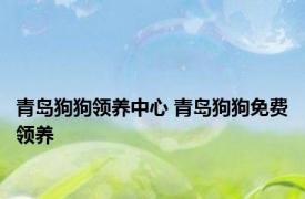 青岛狗狗领养中心 青岛狗狗免费领养 