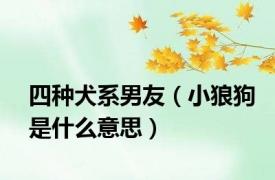 四种犬系男友（小狼狗是什么意思）