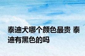 泰迪犬哪个颜色最贵 泰迪有黑色的吗