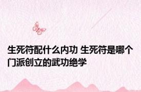 生死符配什么内功 生死符是哪个门派创立的武功绝学
