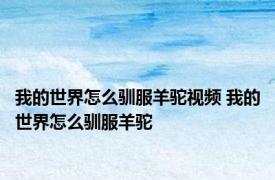 我的世界怎么驯服羊驼视频 我的世界怎么驯服羊驼
