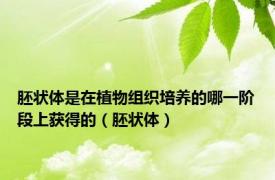 胚状体是在植物组织培养的哪一阶段上获得的（胚状体）