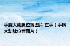 手腕大动脉位置图片 左手（手腕大动脉位置图片）