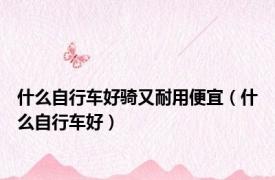 什么自行车好骑又耐用便宜（什么自行车好）