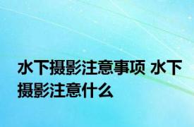水下摄影注意事项 水下摄影注意什么