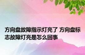 方向盘故障指示灯亮了 方向盘标志故障灯亮是怎么回事