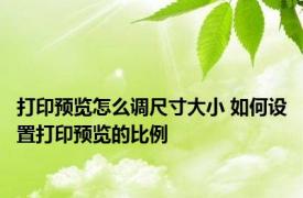 打印预览怎么调尺寸大小 如何设置打印预览的比例
