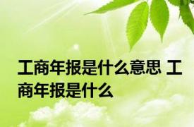 工商年报是什么意思 工商年报是什么
