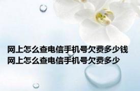 网上怎么查电信手机号欠费多少钱 网上怎么查电信手机号欠费多少