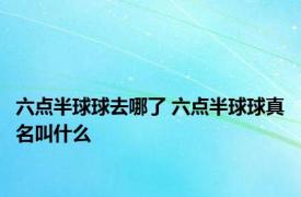 六点半球球去哪了 六点半球球真名叫什么