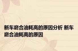 新车磨合油耗高的原因分析 新车磨合油耗高的原因