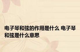 电子琴和弦的作用是什么 电子琴和弦是什么意思