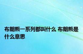 布朗熊一系列都叫什么 布朗熊是什么意思
