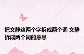 把文静这两个字拆成两个词 文静拆成两个词的意思