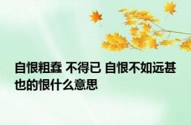 自恨粗蠢 不得已 自恨不如远甚也的恨什么意思