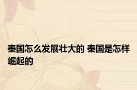 秦国怎么发展壮大的 秦国是怎样崛起的