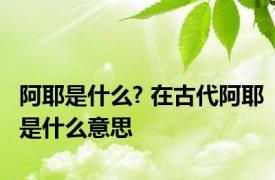 阿耶是什么? 在古代阿耶是什么意思