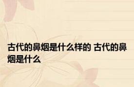古代的鼻烟是什么样的 古代的鼻烟是什么