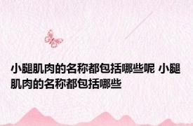 小腿肌肉的名称都包括哪些呢 小腿肌肉的名称都包括哪些