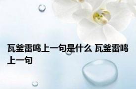瓦釜雷鸣上一句是什么 瓦釜雷鸣上一句