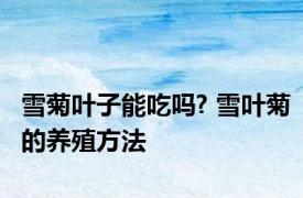 雪菊叶子能吃吗? 雪叶菊的养殖方法