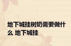 地下城挂树奶需要做什么 地下城挂 