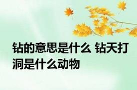 钻的意思是什么 钻天打洞是什么动物
