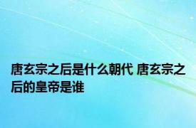 唐玄宗之后是什么朝代 唐玄宗之后的皇帝是谁