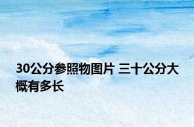 30公分参照物图片 三十公分大概有多长