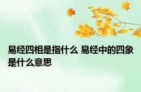 易经四相是指什么 易经中的四象是什么意思