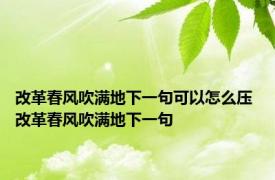 改革春风吹满地下一句可以怎么压 改革春风吹满地下一句
