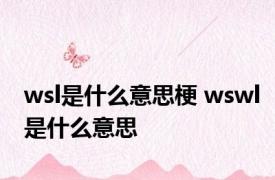 wsl是什么意思梗 wswl是什么意思