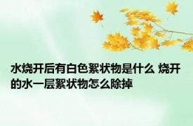 水烧开后有白色絮状物是什么 烧开的水一层絮状物怎么除掉