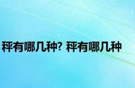 秤有哪几种? 秤有哪几种