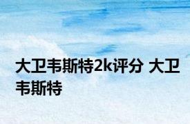 大卫韦斯特2k评分 大卫韦斯特 