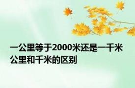 一公里等于2000米还是一千米 公里和千米的区别