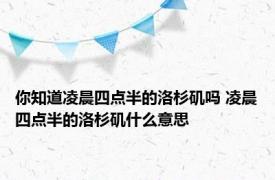 你知道凌晨四点半的洛杉矶吗 凌晨四点半的洛杉矶什么意思