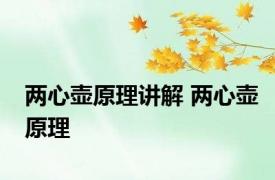 两心壶原理讲解 两心壶原理