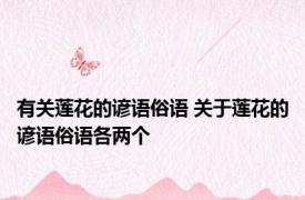 有关莲花的谚语俗语 关于莲花的谚语俗语各两个