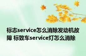 标志service怎么消除发动机故障 标致车service灯怎么消除