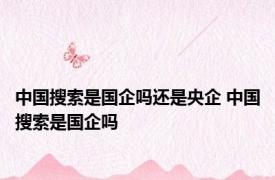 中国搜索是国企吗还是央企 中国搜索是国企吗