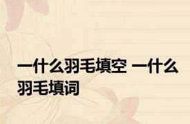 一什么羽毛填空 一什么羽毛填词